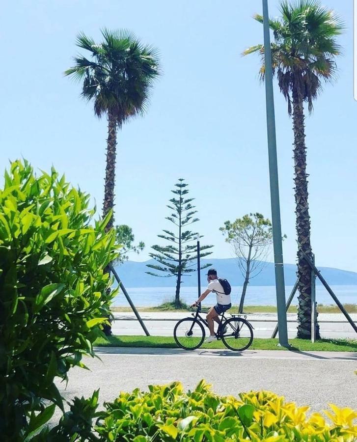 Lovely Place. Close To & Boulevard Appartement